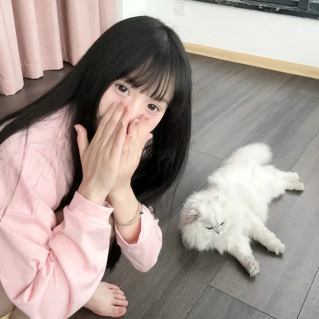 红衣主教