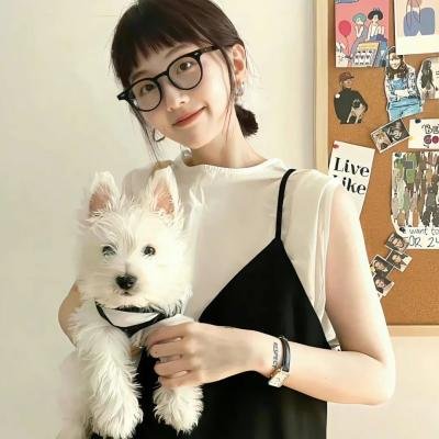 纽约客的故事